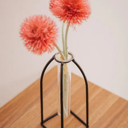 C-studio Urban Nest * 塞萨洛尼基